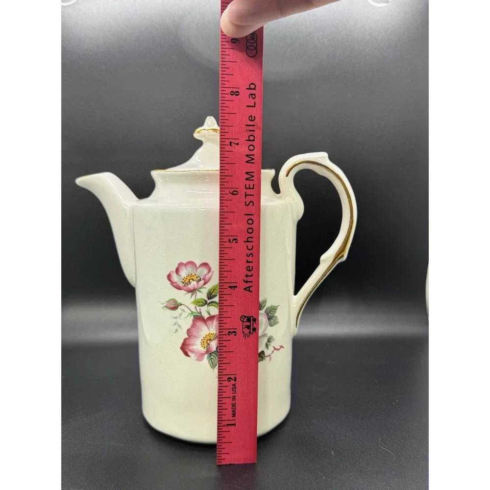 Vintage House of Webster Old English Tea Pot Teapot Strawberry Wild Briar‎ Rose